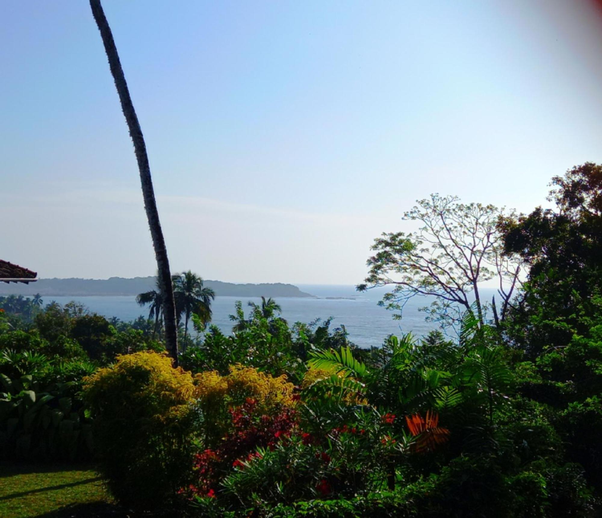 Blue Ocean Tree House Hiriketiya Villa Dikwella Bagian luar foto