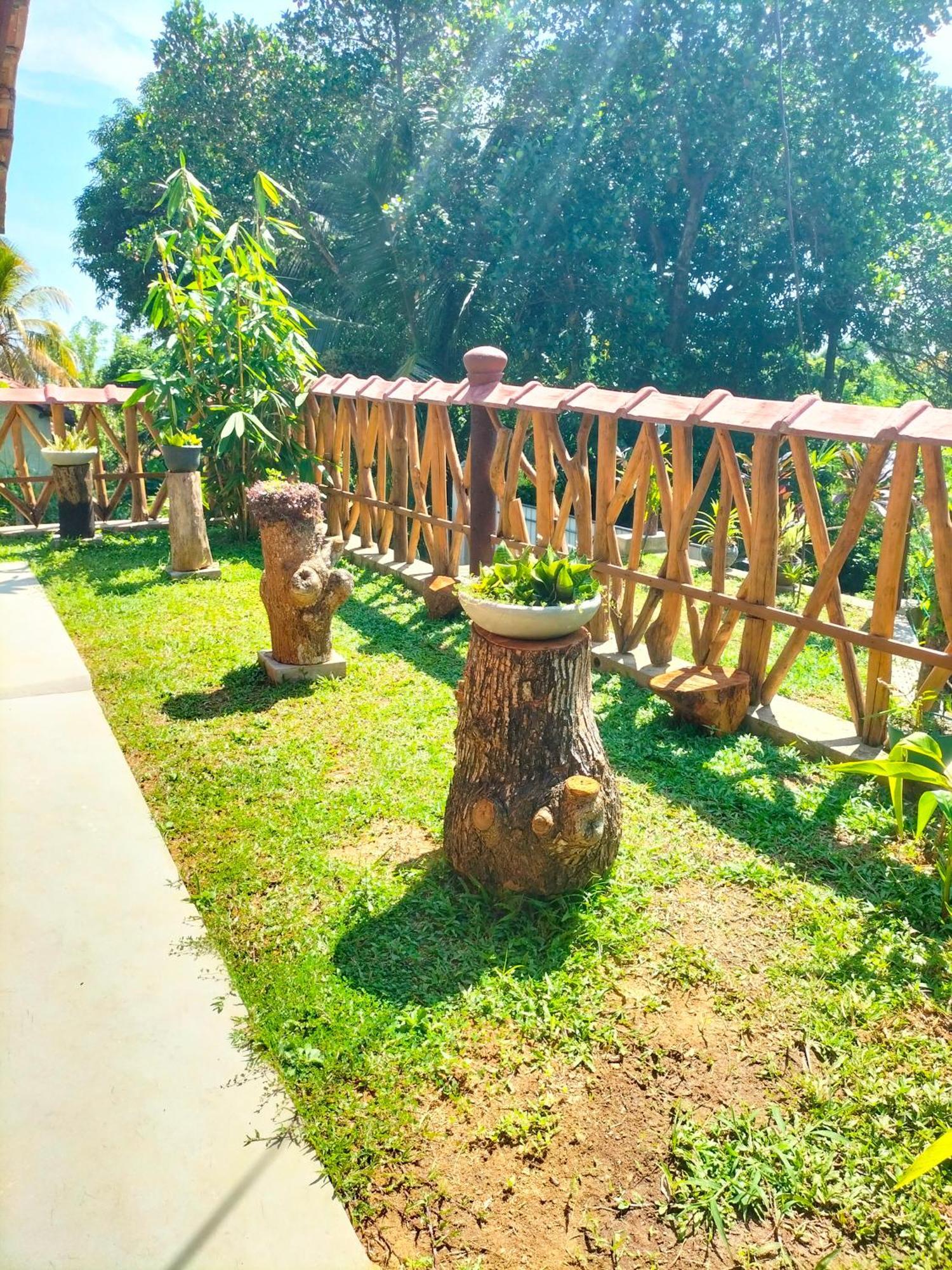 Blue Ocean Tree House Hiriketiya Villa Dikwella Bagian luar foto